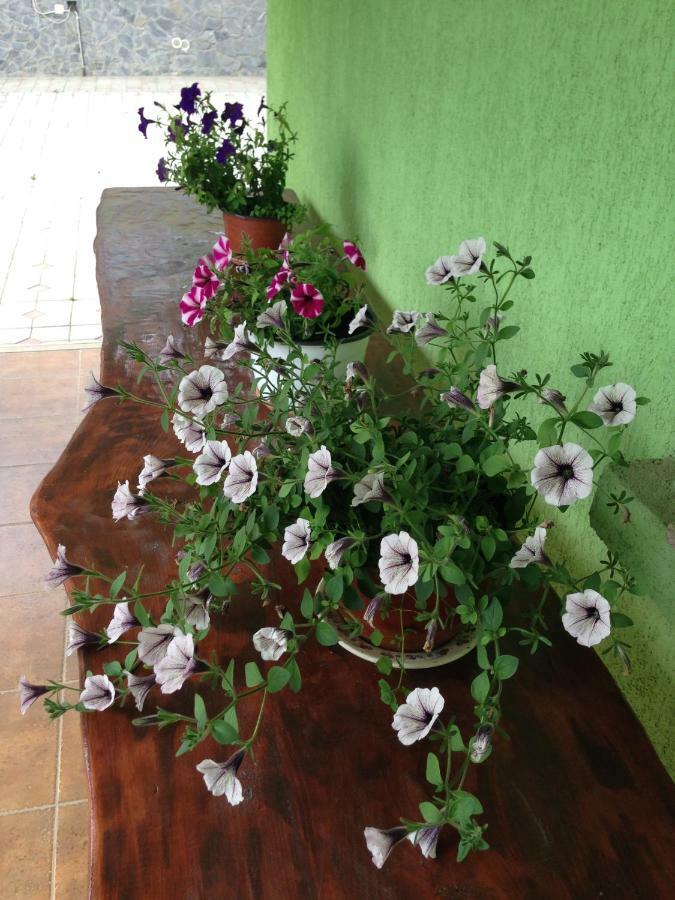 Vilman House Hotel Rîşnov Екстериор снимка